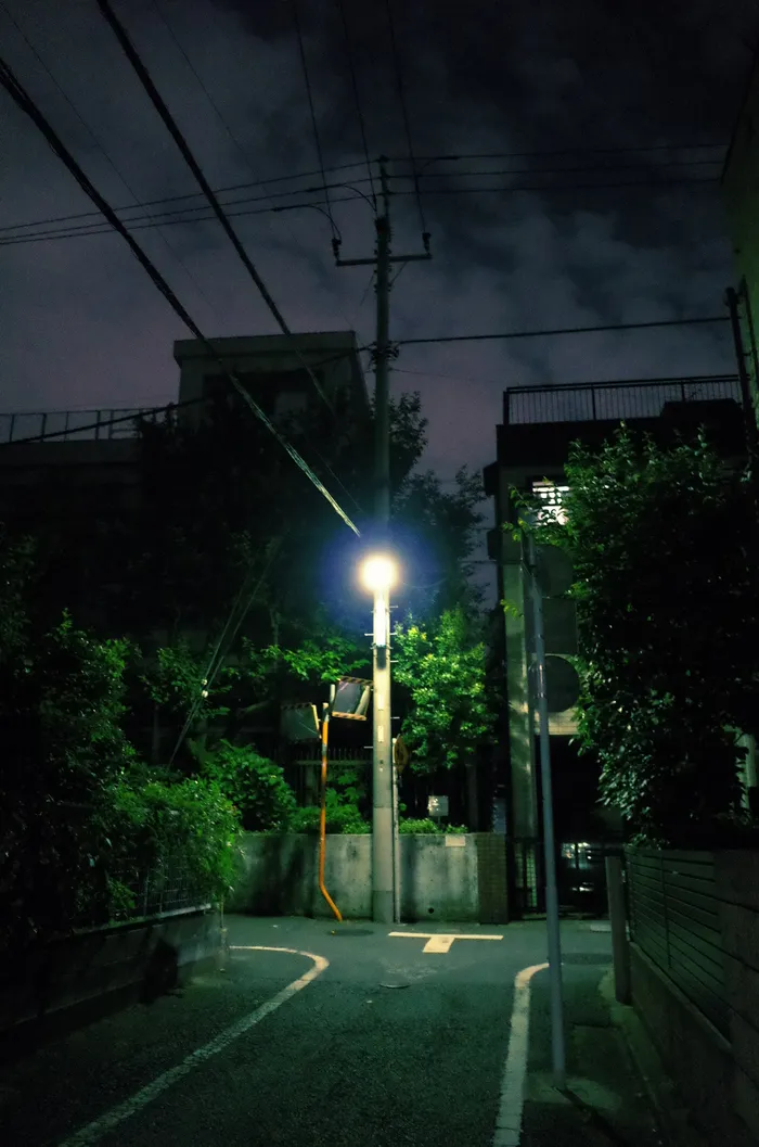 photographs