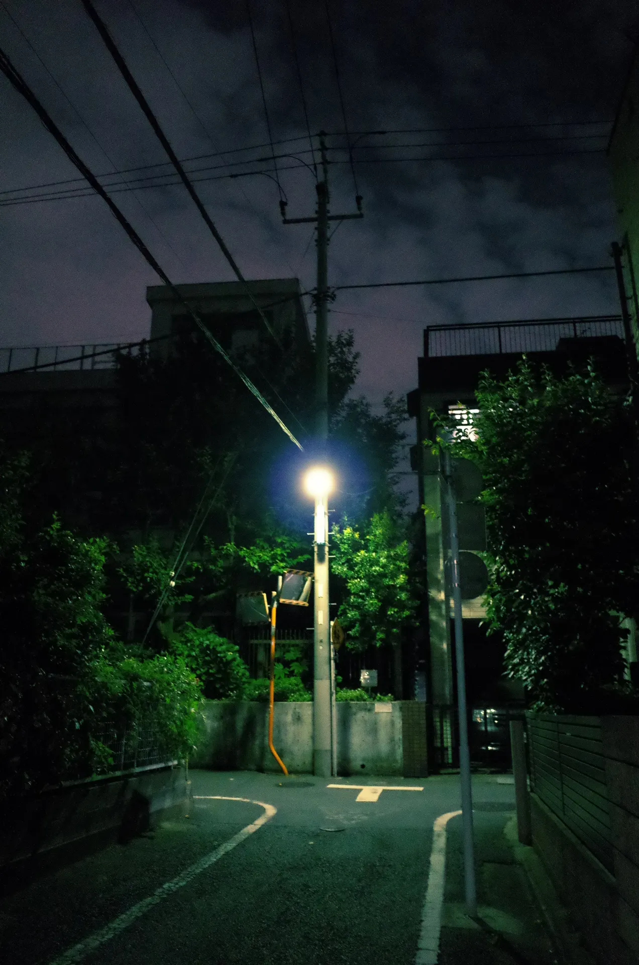 photographs