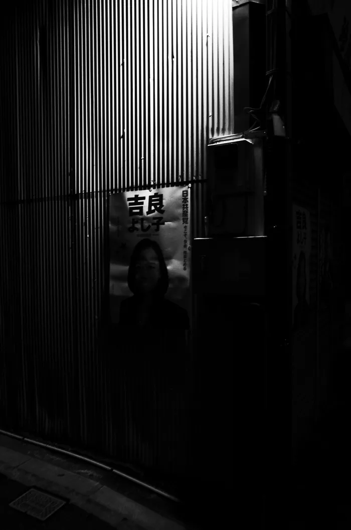 photographs