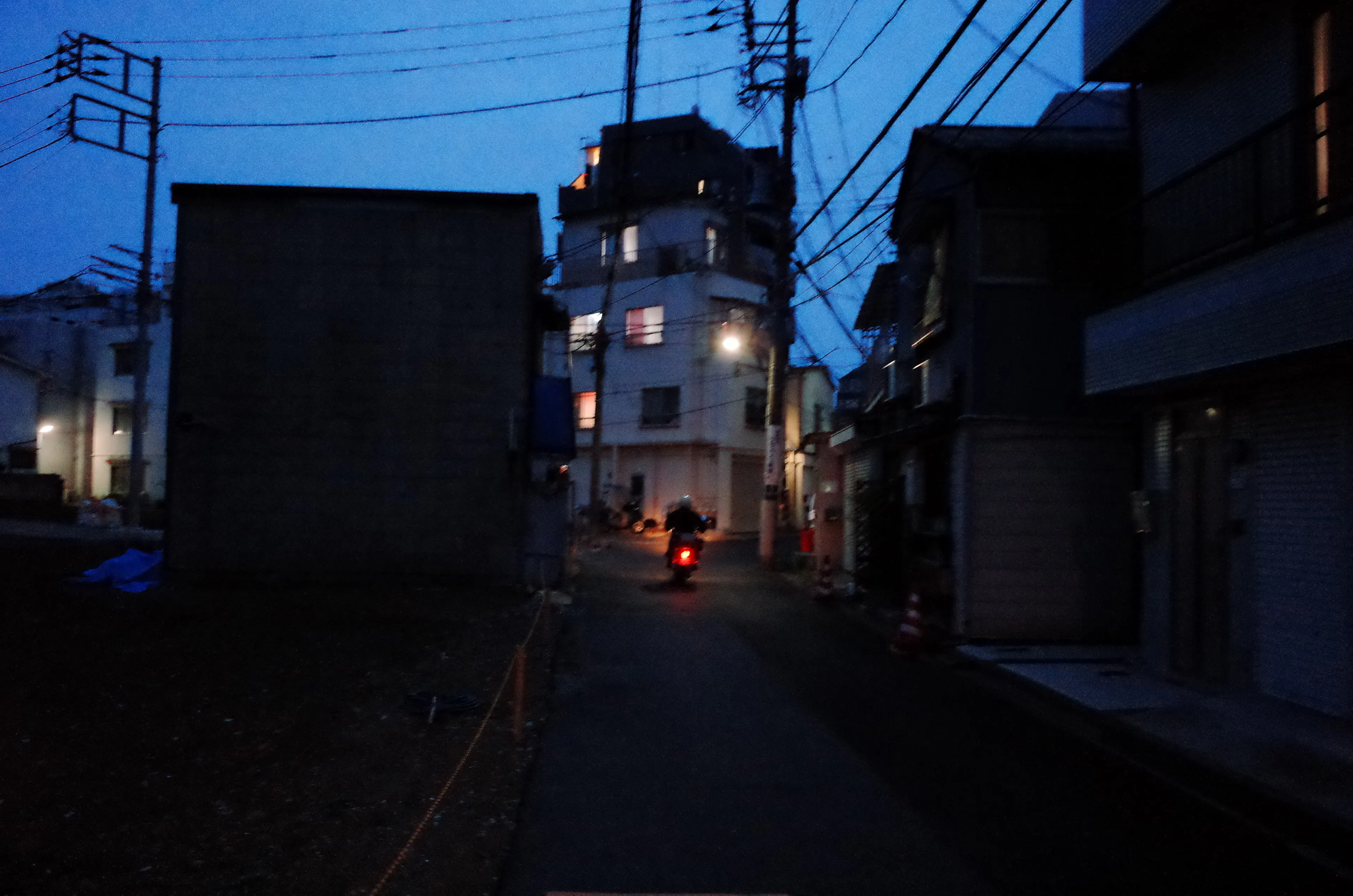 photographs