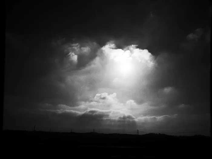 photographs